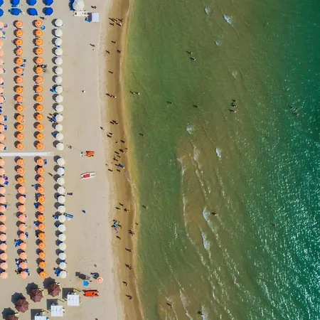 Playa