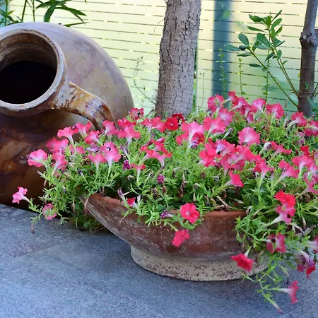 Lägenhetshotell Playa