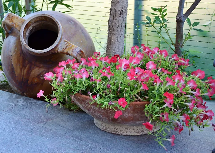 アパートホテル Playa